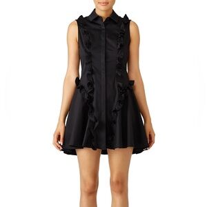 Alexis Black Ruffled Sleeveless Mini Dress
